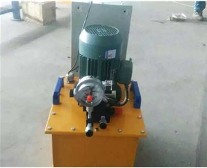 苏州标准电动泵供应生产